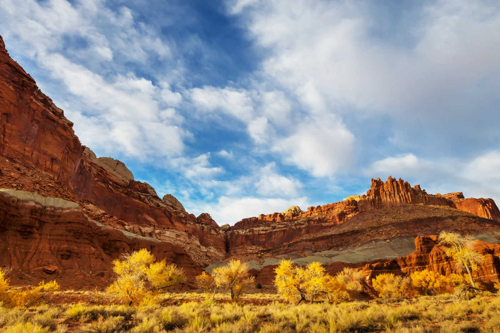 A striking landscape of a desert canyon under a bright blue sky with scattered white clouds. Red rock formations rise in the background, with layers of sandstone visible. In the foreground, yellow-leaved trees and dry grasses contrast with the rugged terrain.
